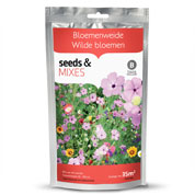 melange fleuri- fleurs sauvages - 35 m2